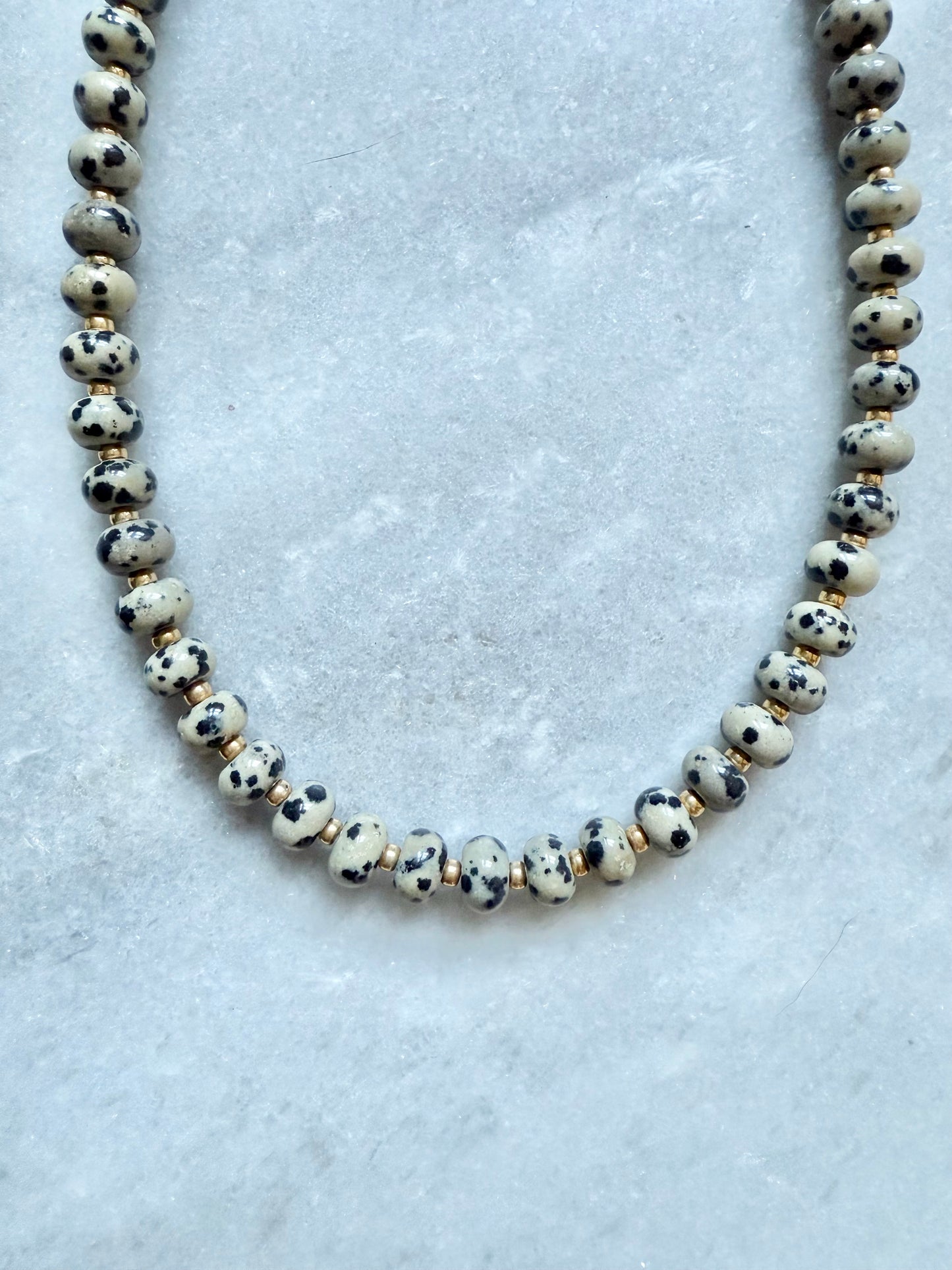 Dalmatian Jasper Rondelle Necklace